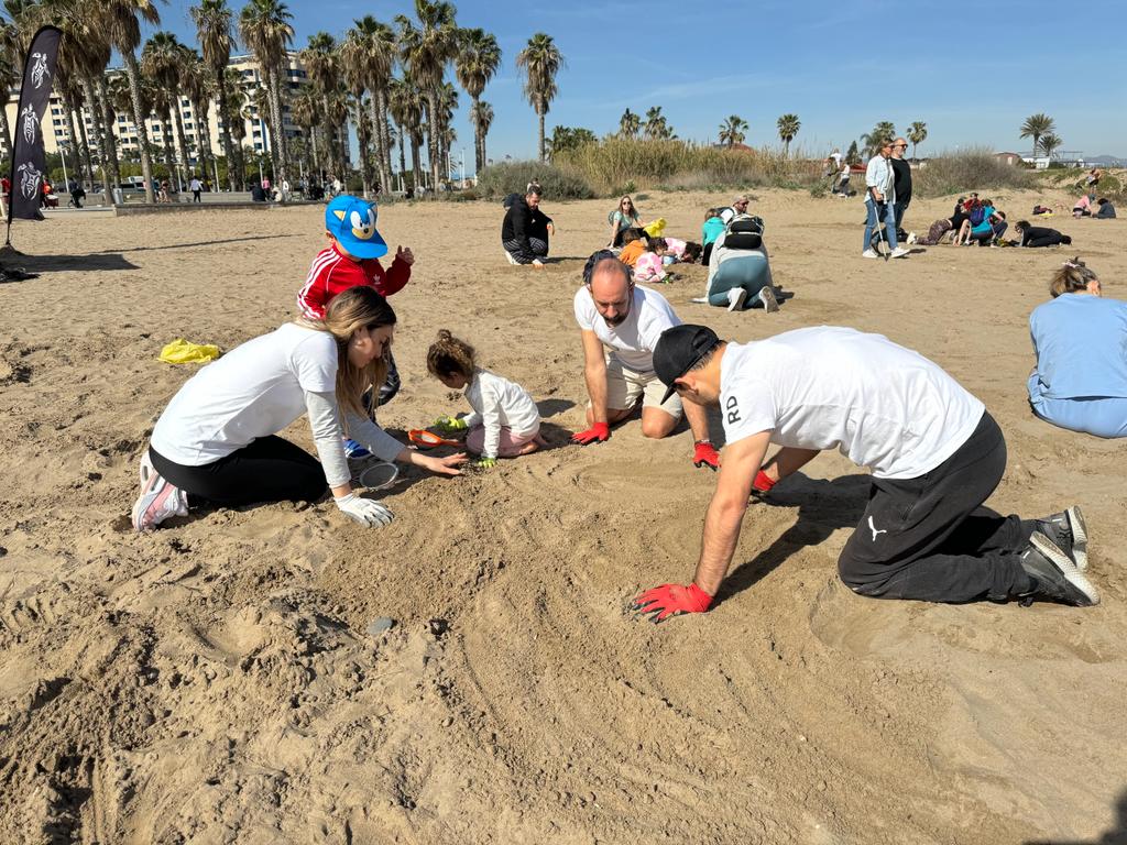 Limpieza de la playa de la Patacona de plásticos y microplásticos